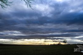6593184b7fe53.jpg