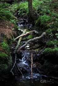 684d624f931fe.jpg