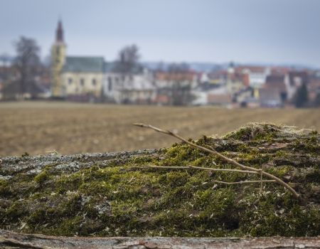 Dřevo a město - f/5,6 1/50s ISO100, ohnisko 55mm