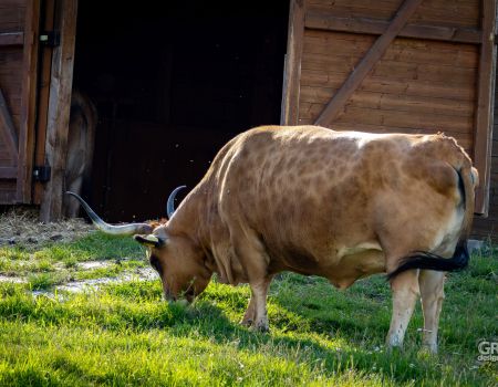 66a509757da56.jpg