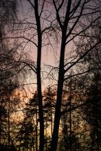 6376aea47b2a6.jpg