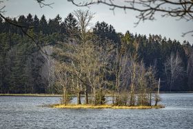 64317e97f2d53.jpg
