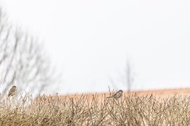 63e91627d90d3.jpg