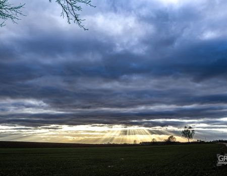 6593184b7fe53.jpg