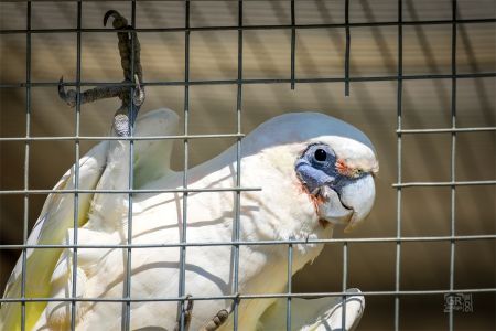 Zoo Na Hrádečku ještě jednou